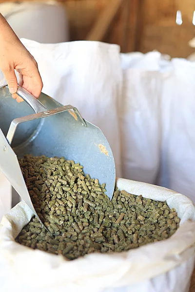 Alfalfa Pellets.