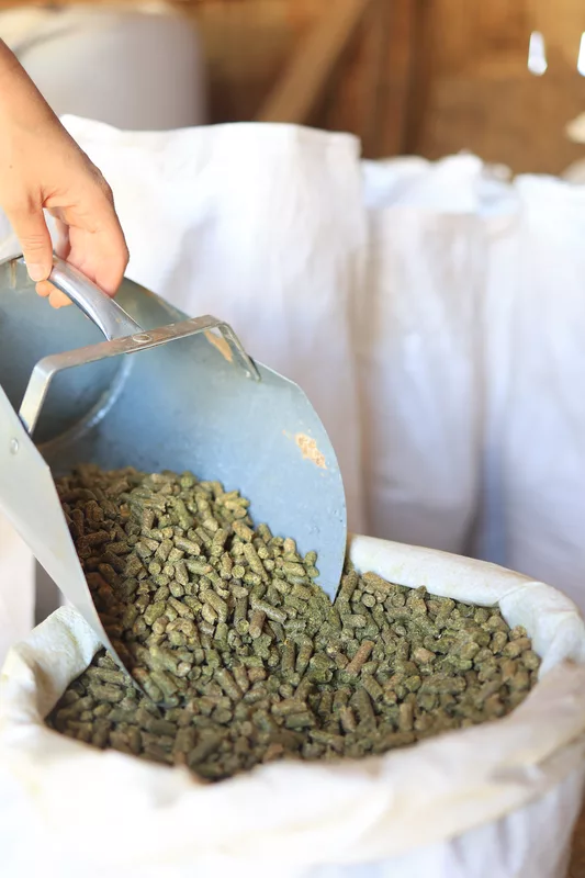 Alfalfa Pellets.