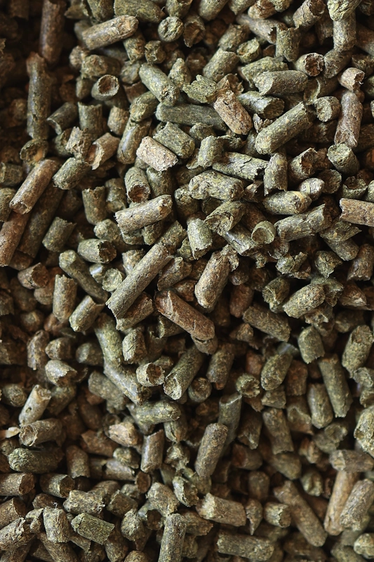 Alfalfa Pellets.