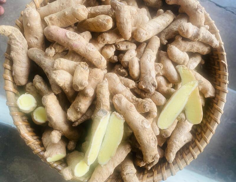 Mango Ginger Seed