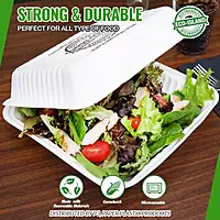 8x8 Eco-Island No Div Trays 10/20