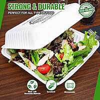 8x8 Eco-Island No Div Trays 4/50