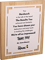 BIRLA OPUS PLAQUES TROPHY