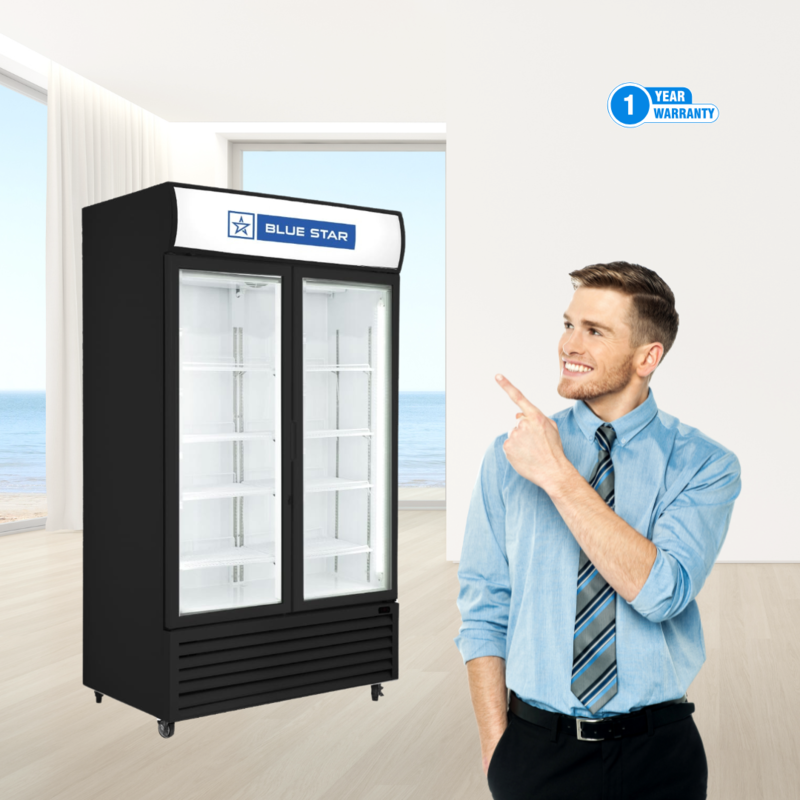 Blue Star Visi Cooler-VC600CD with 1 year comprehensive warranty