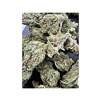 Blue Dream Greenhouse Exotic Living Soil