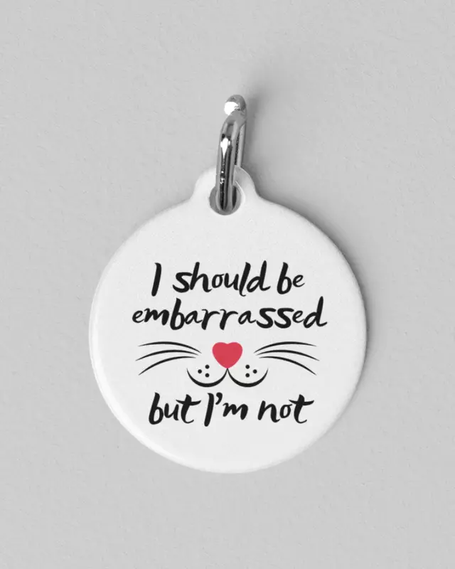 Silly Pet Tags