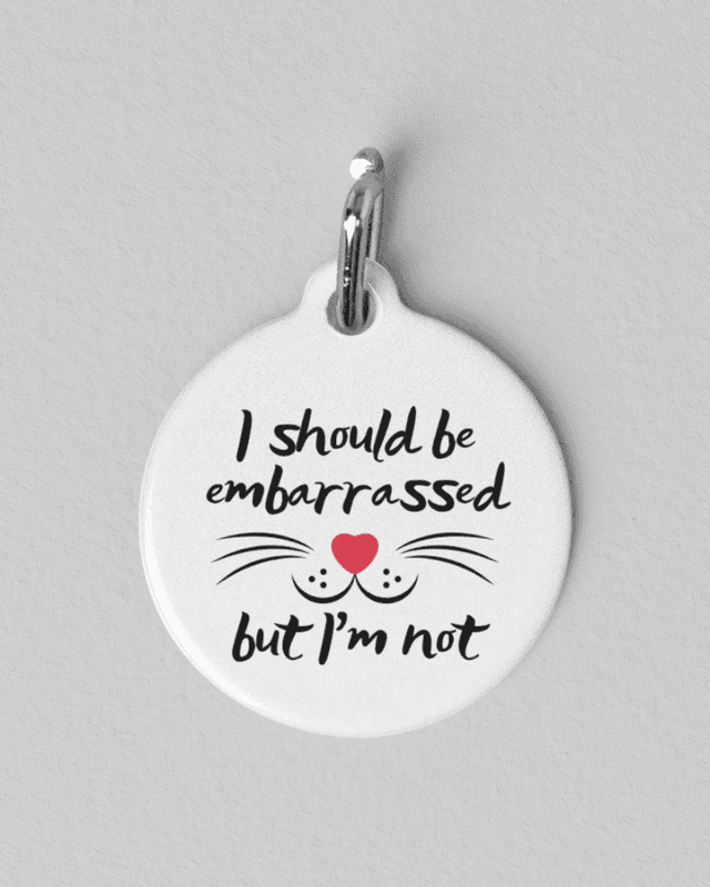 Silly Pet Tags