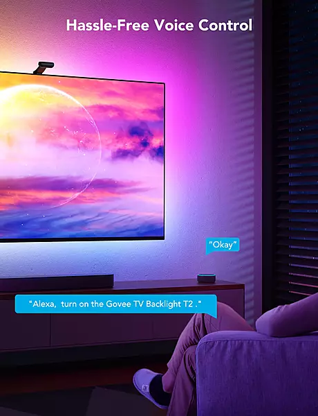 Govee Envisual TV Backlight T2 with Dual Cameras (55~65 inch)