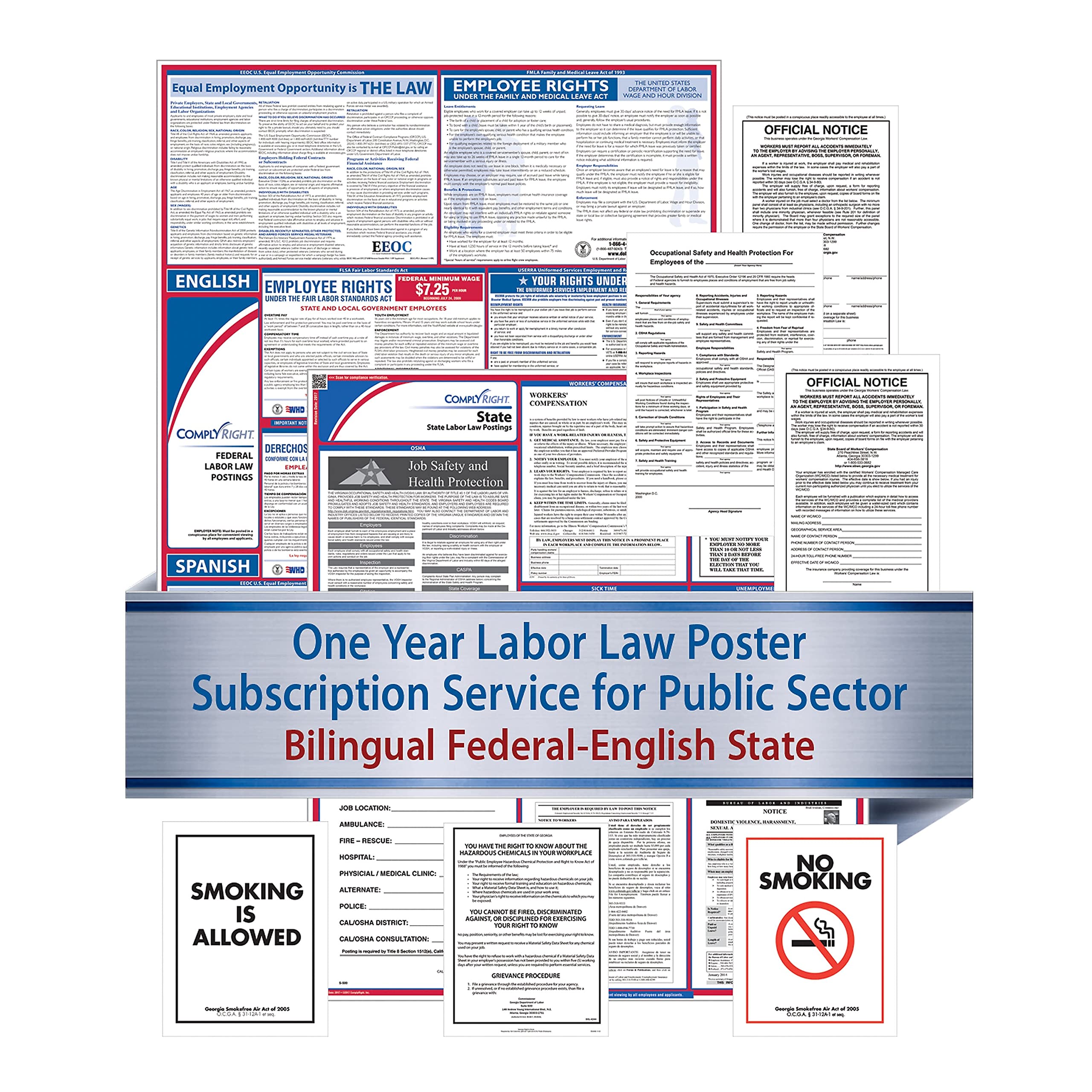 ComplyRight Federal (Bilingual), State and Public Sector (English) Labor Law 1-Year Poster - Puerto Rico (U1200CBOPSECPR)