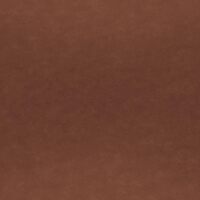 Martha Stewart Taytum Swivel Task Chair with Armrests for Home Office