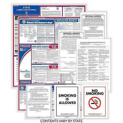 ComplyRight Federal (Bilingual), State & Public Sector (English) Poster Set - New York (EFEDSTCRPSECBNY)