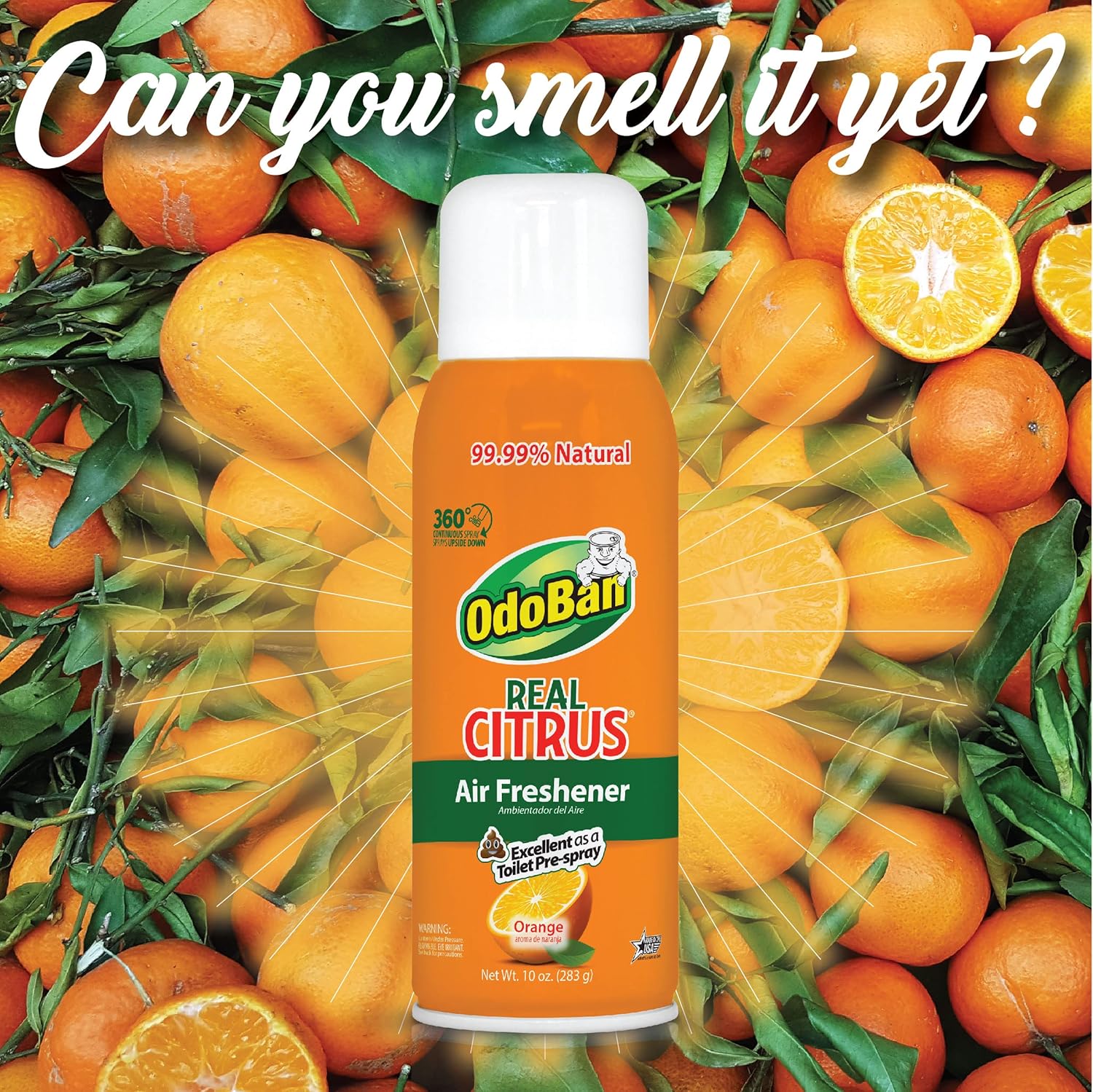 OdoBan Aroma Eliminator, 360-Degree Continuous Spray Natural Oil Real Citrus Air Freshener, Toilet Spray, Made in the USA
