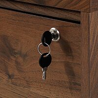 Sauder Clifford Place 29-1/2inW x 18-1/2inD Lateral 2-Drawer File Cabinet, Grand Walnut