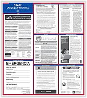 ComplyRight State Labor Law Poster, Spanish, California
