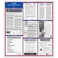 ComplyRight State Labor Law Poster, Spanish, California