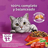 Whiskas - Whiskas Whiskas alimento para Gatos Adultos Sabor Carne Receta Orginal 9Kg Violeta