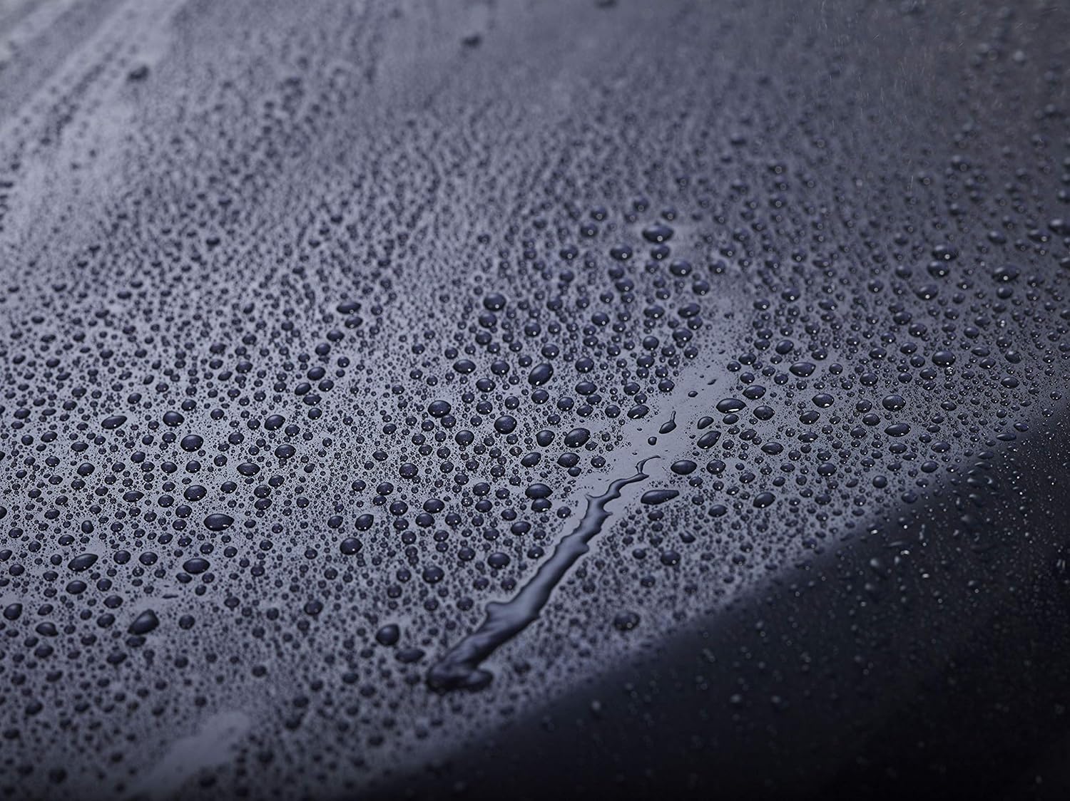 303 Products Touchless Sealant - SiO2 Technology - Water Activated Paint and Glass Protection - Spray On, Rinse Off
