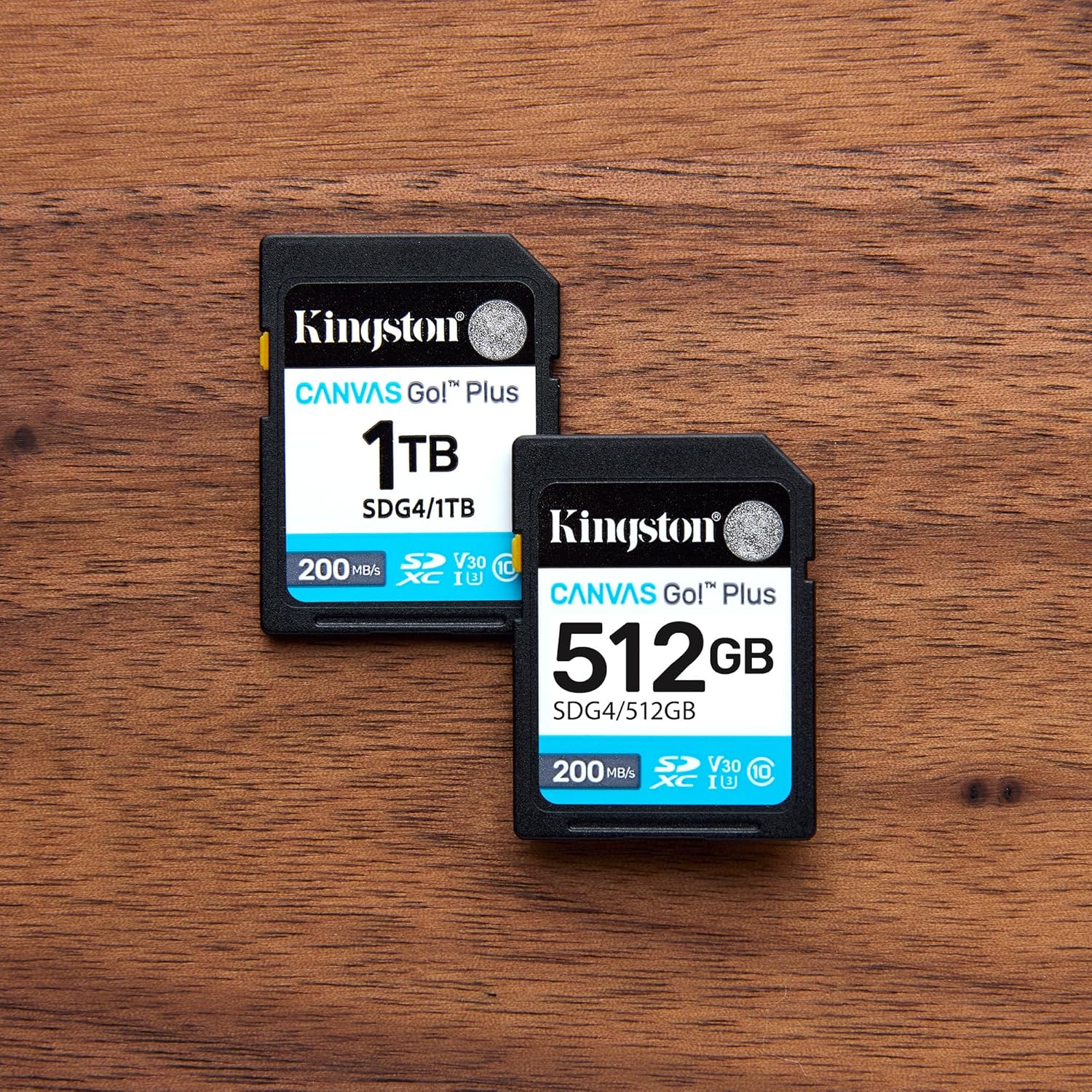 KINGSTON Canvas Go Plus SDXC Card