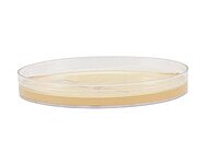 Mueller Hinton Agar Prepared Media Dehydrated (PK/10EA) Mueller Hinton Agar Prepared Media Dehydrated (PK/10EA)