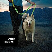 NITE IZE NiteDog Rechargeable LED Leash with Padded Handle