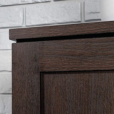 Sauder HomePlus Storage Cabinet/ Pantry Cabinet, Dakota Oak finish Oak Dark