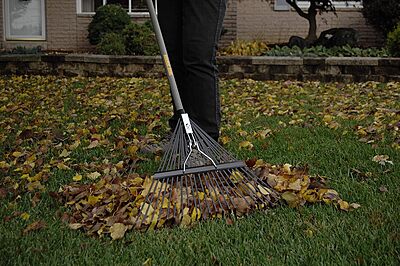 True Temper 2604512 Steel Leaf Rake 22- Inch 22-Inch Steel Leaf Rake