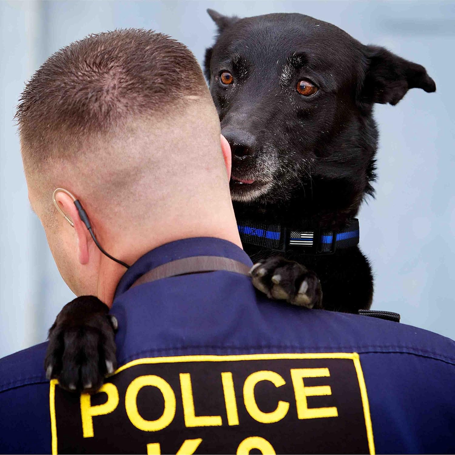 THIN BLUE LINE USA Thin Blue Line Dog Collar