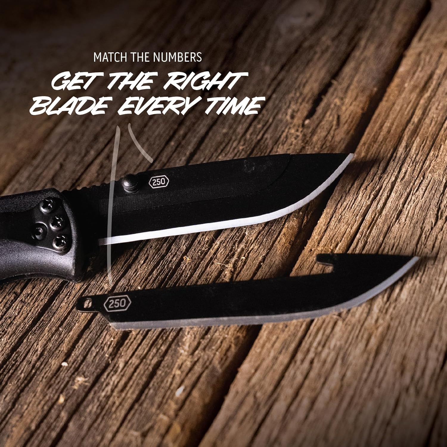 OUTDOOR EDGE Razor EDC Lite 2.5" Replaceable-Blade Folding Pocket Knife with Clip