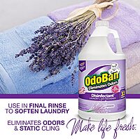 OdoBan Disinfectant Concentrate and Odor Eliminator, 1 Gallon, Lavender Scent