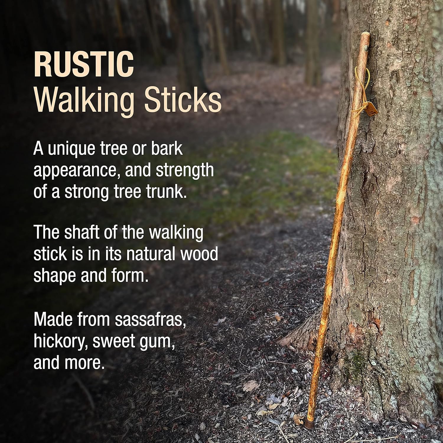BRAZOS Free Form Rustic Wood Walking Stick, Traditional Handle, Made in USA