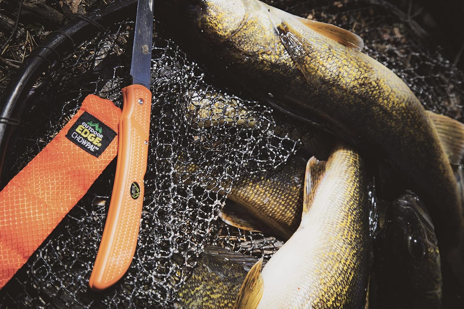 OUTDOOR EDGE Fish & Bone Folding Fillet Knife with 5.0" 440A Stainless Blade - Pocket Clip