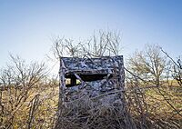 BOG Prevail Sitting Height Ground Blind Mossy Oak with StealthZip Silent Zippers, StealthTrac Silent Windows