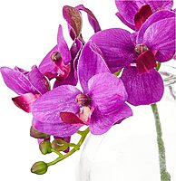 Nearly Natural 4208-S3 9" Phalaenopsis Orchid Artificial Arrangement in Vase (Set of 3), Multi/Color