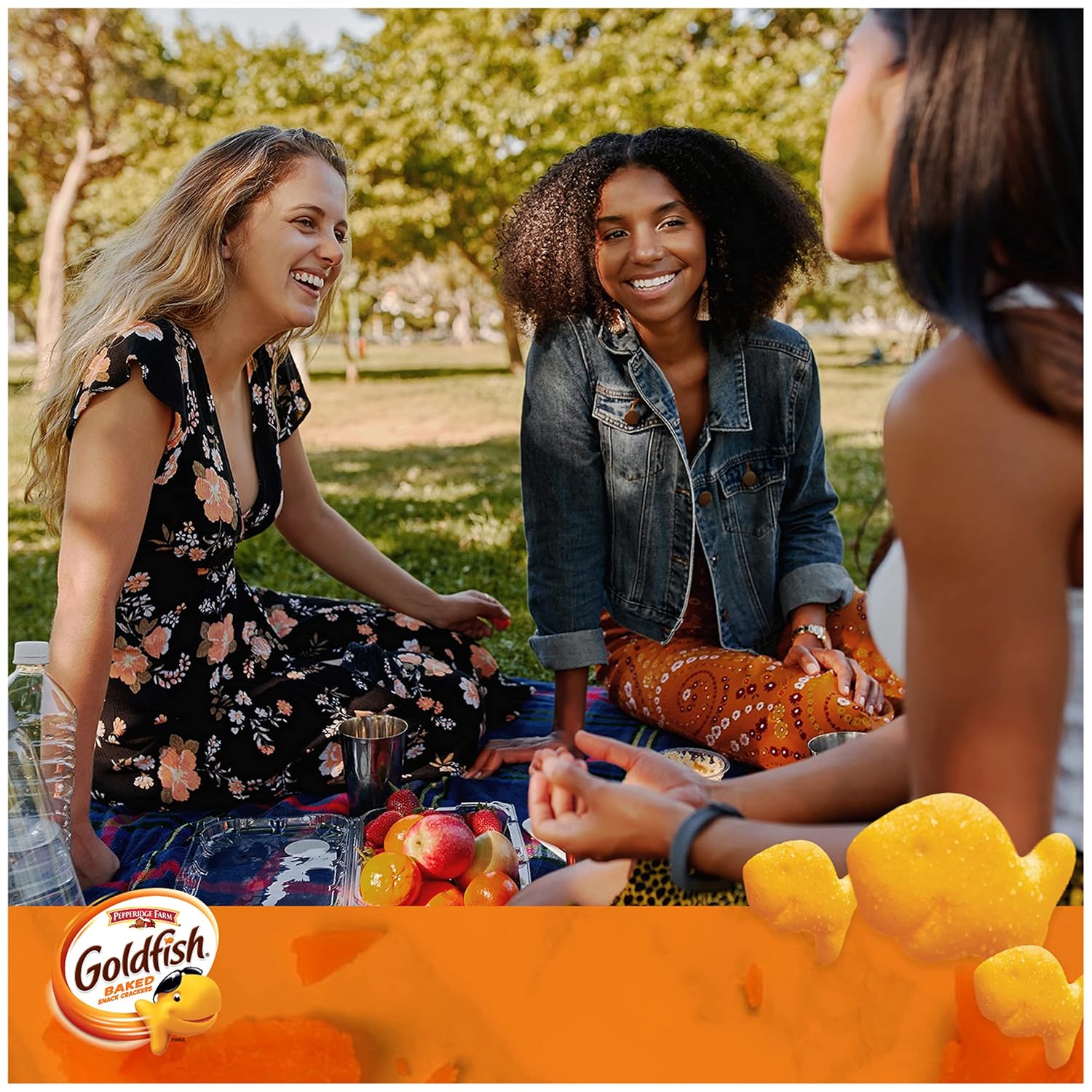 Pepperidge Farm Goldfish Cheddar Crackers, 1.5 oz. Snack Packs, 30 Count 1.5 Ounce (Pack of 30) Cheddar 30ct