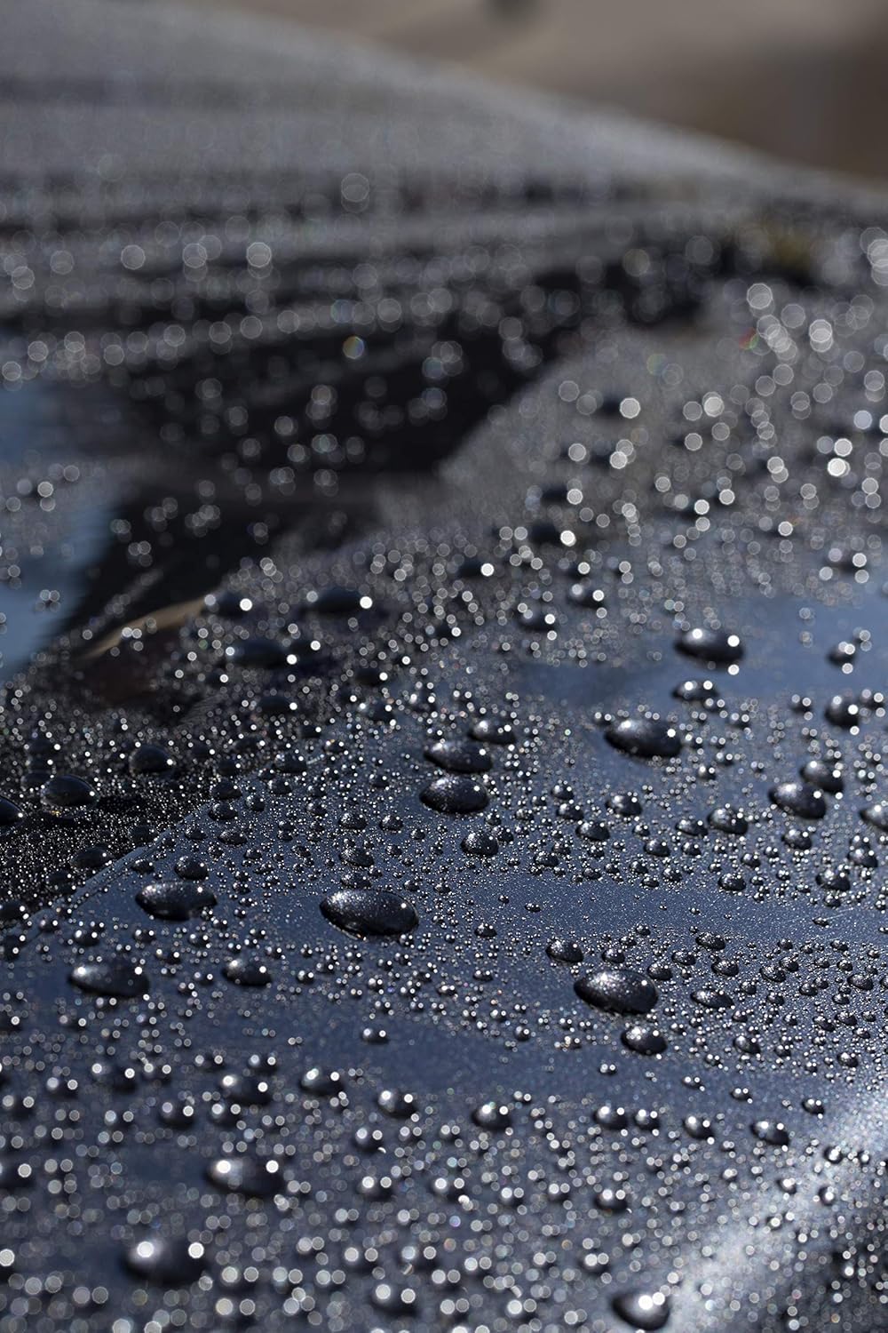 303 Products Touchless Sealant - SiO2 Technology - Water Activated Paint and Glass Protection - Spray On, Rinse Off