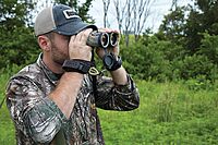 Bushnell Legend L-Series 10x42mm Binoculars