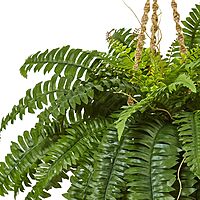 Nearly Natural 33inH Polyester Boston Fern With Hanging Basket, Green