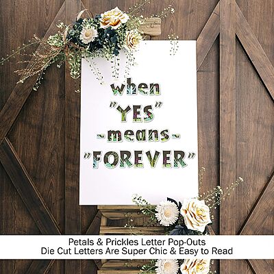 BARKER CREEK Letter Pop-Outs, 4" Multicolor Designer Letters for Bulletin Boards, Posters and Displays