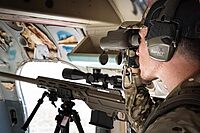 STEINER Military Binoculars, Military-Grade Precision and Optical Clarity