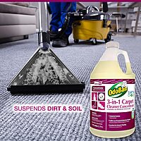 OdoBan Professional 3-in-1 Carpet Cleaner Concentrate, Made in the USA, 1 Gallon