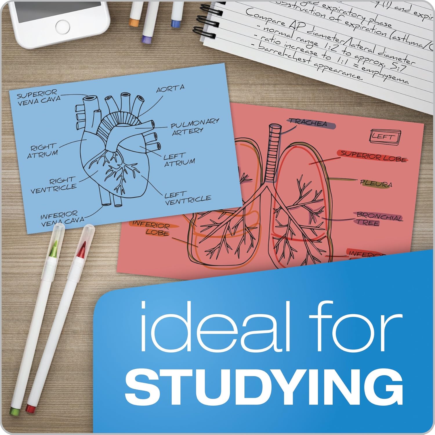 Oxford Blank Color Index Cards, 3" x 5", Cherry, 100 Per Pack (7320 CHE) 100 Count (Pack of 1)