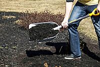 True Temper 2604300 Poly Scoop with Hardwood Handle & D-Grip