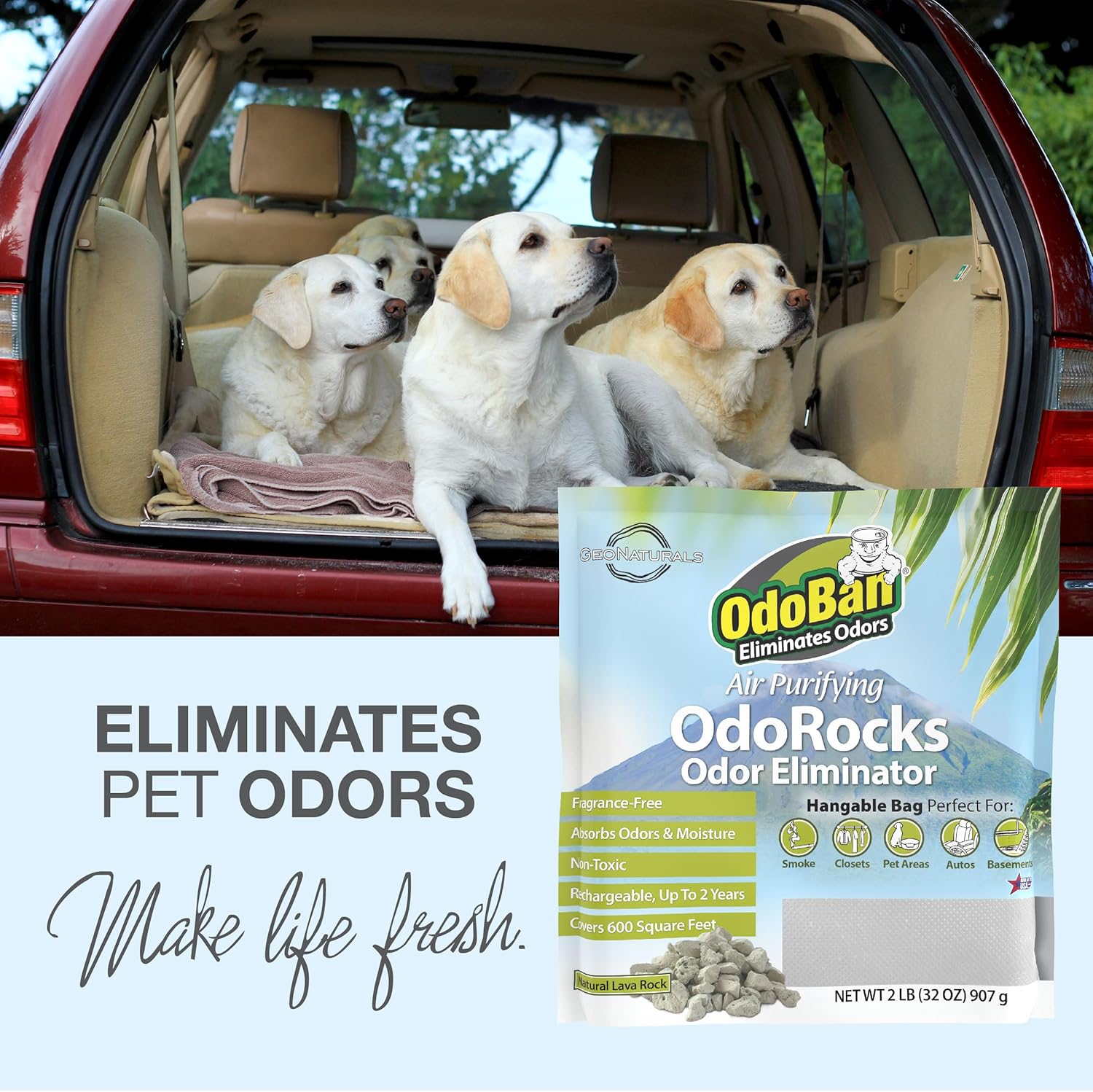 OdoBan Air Purifying OdoRocks Natural Odor Eliminator Made from Natural Volcanic Rocks, Made in the USA, Fragrance Free
