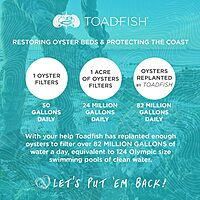 Toadfish Crab & Lobster Seafood Tool Set - 2 Shell Crackers With Cutters & 4 Multi-Use Forks - Non-Slip Grips