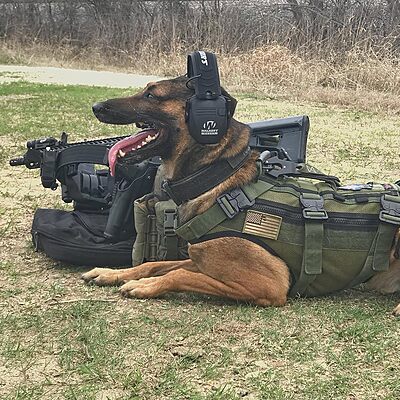 WALKER'S Razor Slim Electronic Earmuffs Ultra Low-Profile Folding Hearing Protection