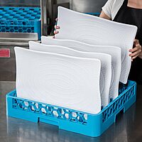 Carlisle FoodService Products RP-14 Blue Color, Polypropylene OptiClean All Purpose Plate and Tray Rack