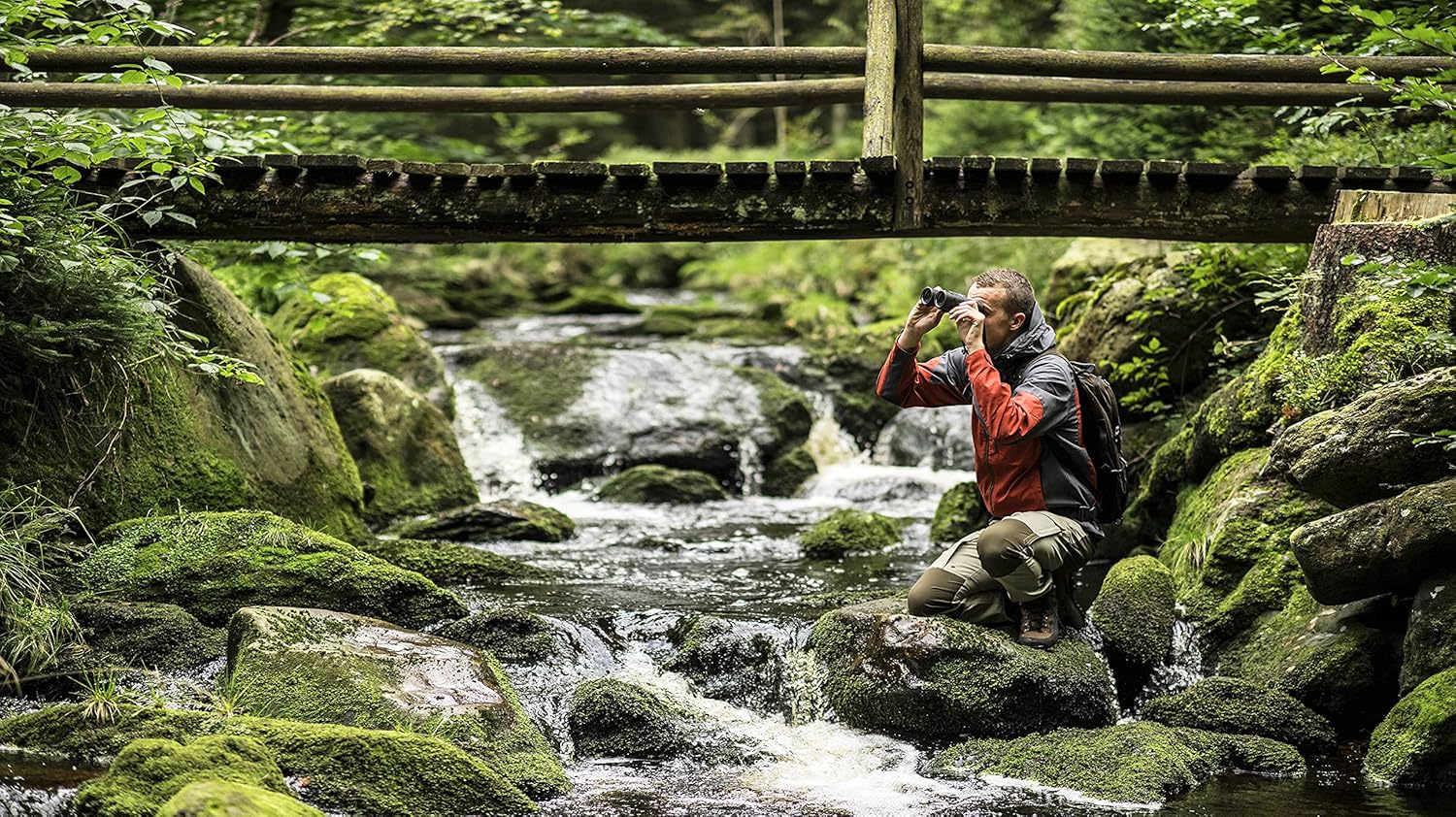 STEINER Safari UltraSharp Binoculars