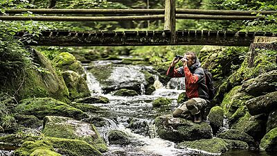 STEINER Safari UltraSharp Binoculars