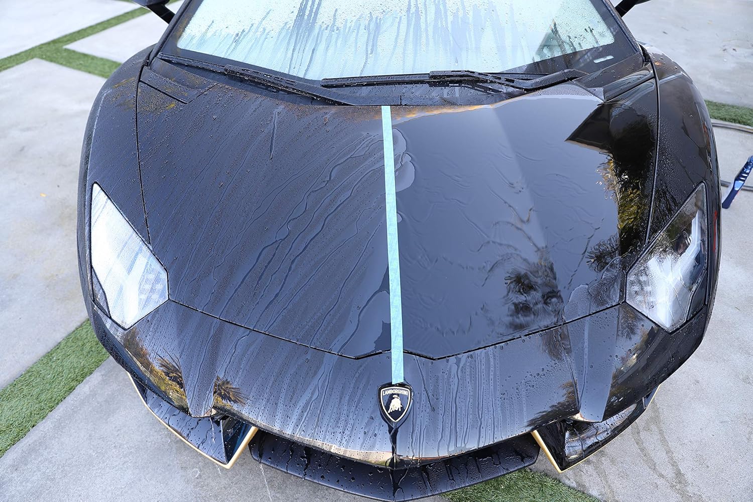 303 Products Touchless Sealant - SiO2 Technology - Water Activated Paint and Glass Protection - Spray On, Rinse Off