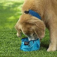 NITE IZE RadDog Collapsible Dog Bowl Lightweight Nylon Food and Water Bowl